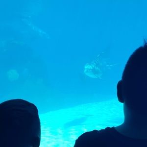 Meet your Posher, Nora